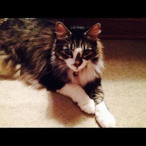 Meet your Posher, Stepfanie